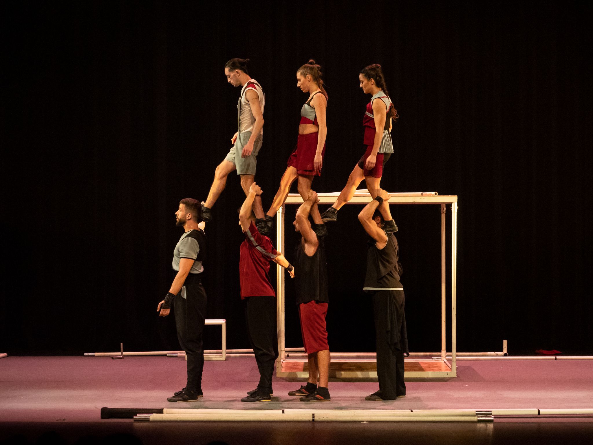 Espectaculo aureo 04