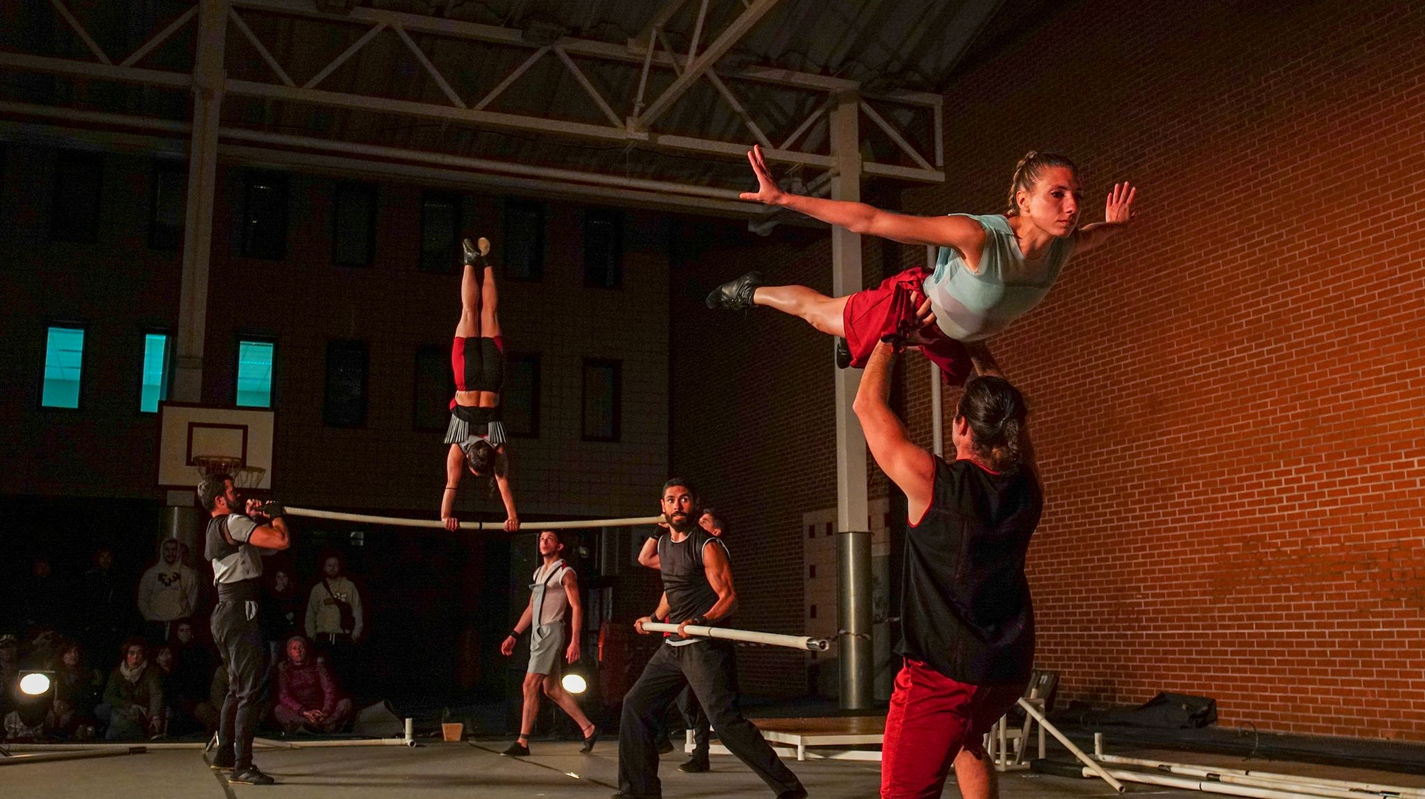 Espectaculo aureo 05