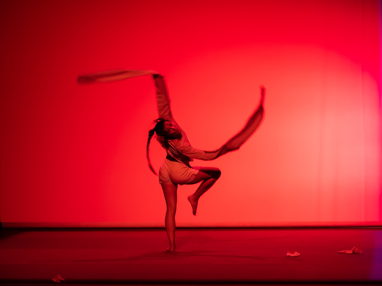 Espectaculo desprovisto 23