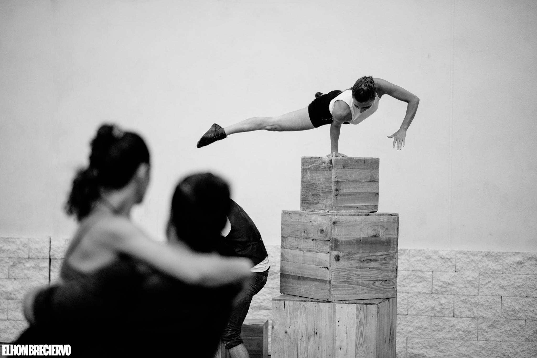 Espectaculo todo encaja 05